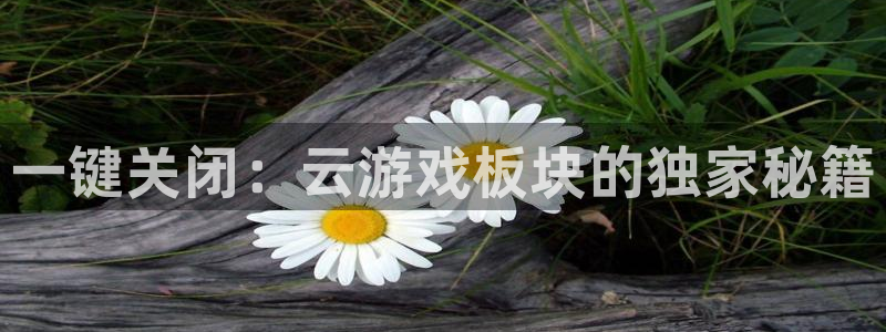 杜邦娱乐平台登陆：一键关闭：云游戏板块的独家秘籍