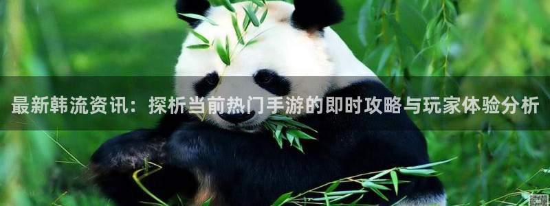 杜邦娱乐线路测试：最新韩流资讯：探析当前热门手游的即时攻略与