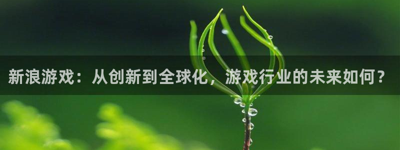 杜邦娱乐注册登录：新浪游戏：从创新到全球化，游戏行业的未来如