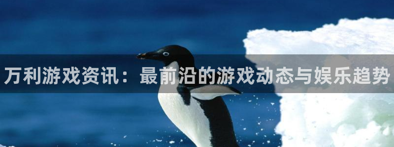 杜邦娱乐平台官方网站