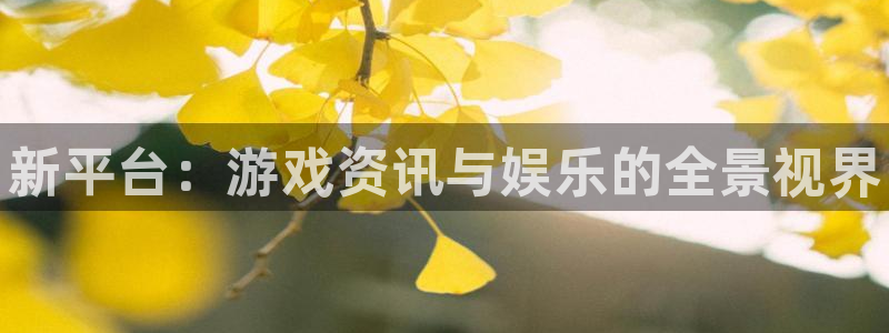 杜邦娱乐集团：新平台：游戏资讯与娱乐的全景视界