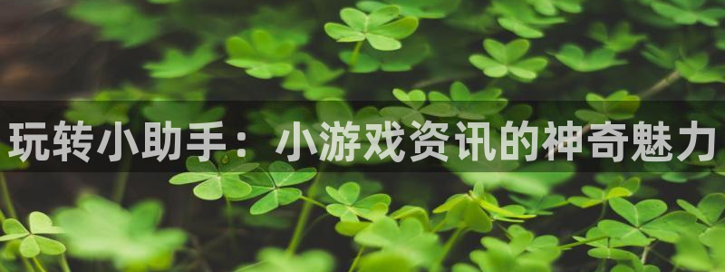 杜邦娱乐平台官方网站：玩转小助手：小游戏资讯的神奇魅力