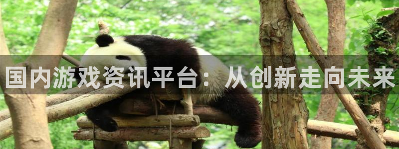 杜邦娱乐主管：国内游戏资讯平台：从创新走向未来
