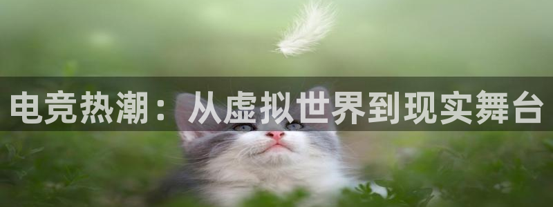 杜邦娱乐测速登陆：电竞热潮：从虚拟世界到现实舞台