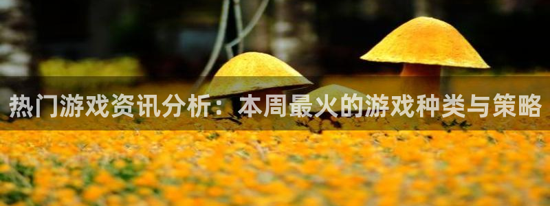 手机杜邦娱乐下载安装：热门游戏资讯分析：本周最火的游戏种类与