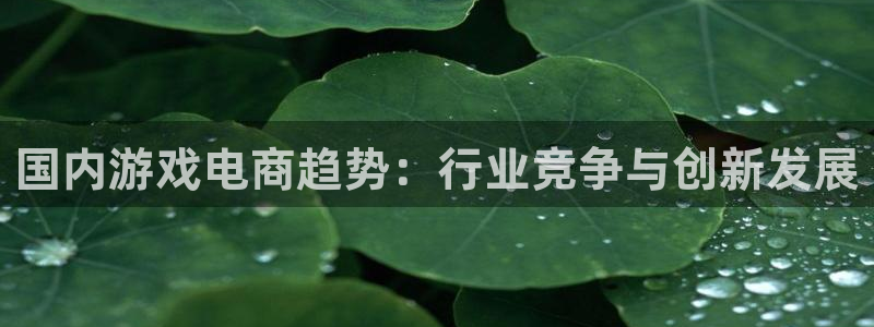 杜邦娱乐网页版地址：国内游戏电商趋势：行业竞争与创新发展