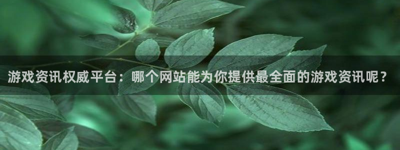杜邦娱乐平台登陆：游戏资讯权威平台：哪个网站能为你提供最全面