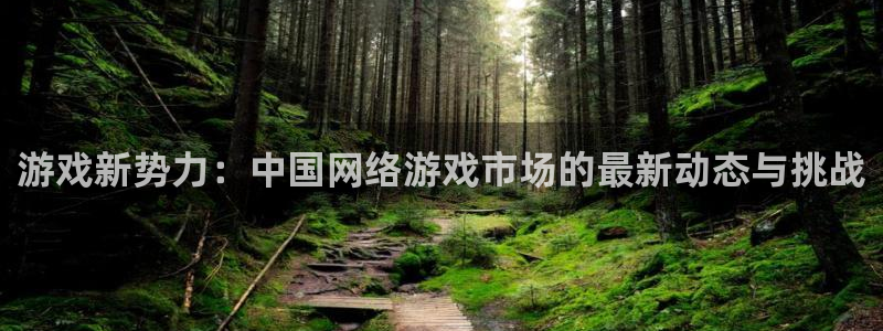 杜邦娱乐app下载|下载地址：游戏新势力：中国网络游戏市场的