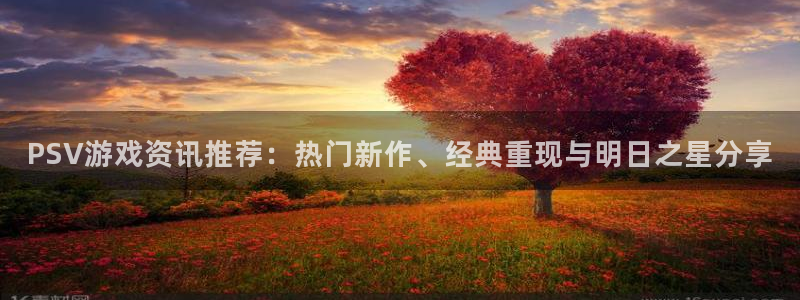 杜邦娱乐登陆测速：PSV游戏资讯推荐：热门新作、经典重现与明