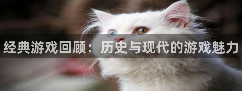 杜邦娱乐代理登陆：经典游戏回顾：历史与现代的游戏魅力