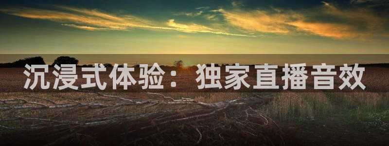 nba直播吧极速体育吧：沉浸式体验：独家直播音效