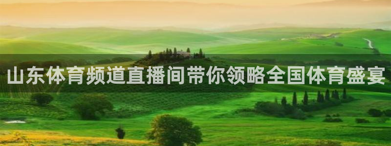 nba直播极速体育直播吧触屏版：山东体育频道直播间带你领略全国体育盛宴