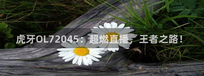 极速体育雨燕直播观看：虎牙OL72045：超燃直播，王者之路！