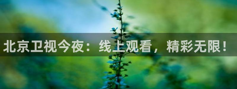 极速体育直播在线观看：北京卫视今夜：线上观看，精彩无限！