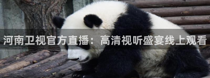 nba直播体育直播极速：河南卫视官方直播：高清视听盛宴线上观看