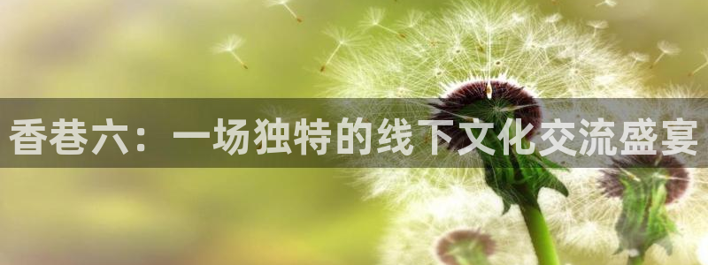 极速体育直播在线观看免费：香巷六：一场独特的线下文化交流盛宴