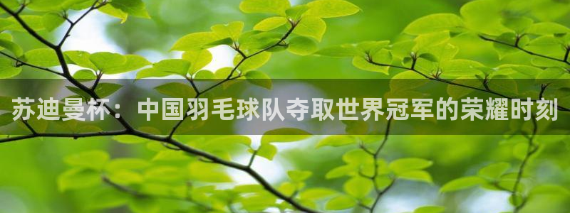 极速直播nba篮球比赛：苏迪曼杯：中国羽毛球队夺取世界冠军的荣耀时刻