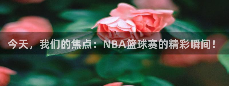 极速体育nba直播吧：今天，我们的焦点：NBA篮球赛的精彩瞬间！