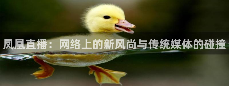 jrs直播无插件直播极速体育：凤凰直播：网络上的新风尚与传统媒体的碰撞