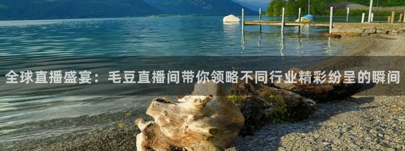 足球极速直播吧：全球直播盛宴：毛豆直播间带你领略不同行业精彩纷呈的瞬间